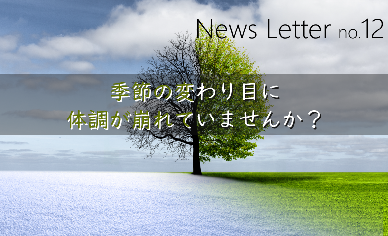 news letter no.12